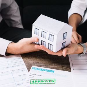 Property Law & Real Estate